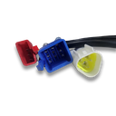 Acelerador + Comutador Direito - Neovolt (We-Go)