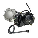 Motor Completo 125cc (automatico) (c/ motor de arranque por BAIXO), Pitbike