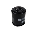 Filtro Oleo Madison 300 (V1)