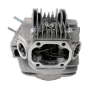 Cabeça de Motor (Completa, s/juntas, s/tampas) 125, ECO Pitbike 125
