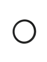 E15 - O-Ring 30,8x3 - Motron Ventura 125