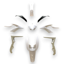 Kit Carenagem - Tox (Saker (MD04))